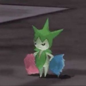 Meet your Posher, Jasmine